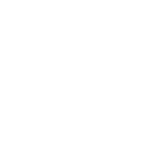 Working Ants Innovations logo